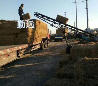 光澤回程車整（zhěng）車運輸（shū）