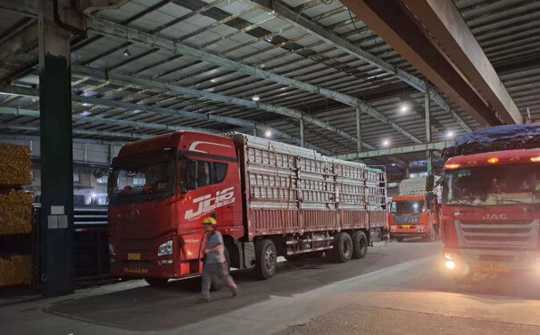 林芝（zhī）物流公司（sī）運輸車